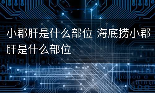 小郡肝是什么部位 海底捞小郡肝是什么部位