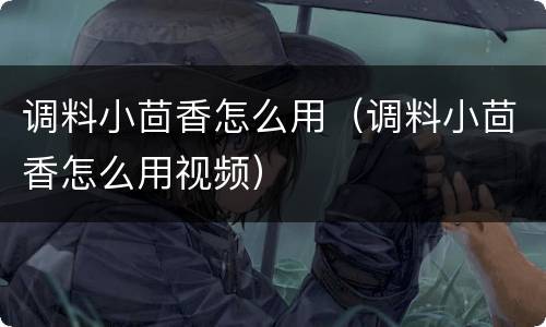 调料小茴香怎么用（调料小茴香怎么用视频）
