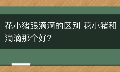 花小猪跟滴滴的区别 花小猪和滴滴那个好?
