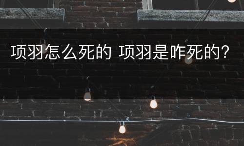 项羽怎么死的 项羽是咋死的?