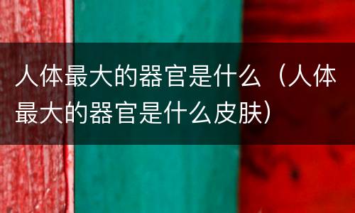 人体最大的器官是什么（人体最大的器官是什么皮肤）