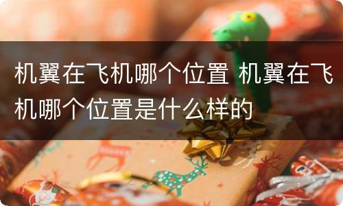 机翼在飞机哪个位置 机翼在飞机哪个位置是什么样的