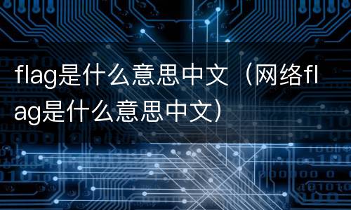 flag是什么意思中文（网络flag是什么意思中文）