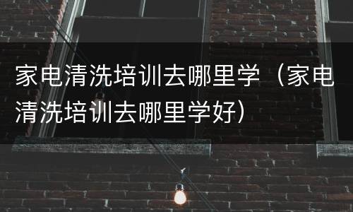 家电清洗培训去哪里学（家电清洗培训去哪里学好）