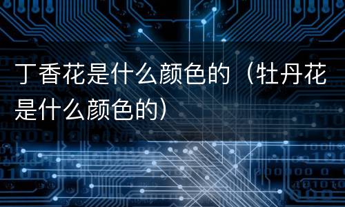 丁香花是什么颜色的（牡丹花是什么颜色的）