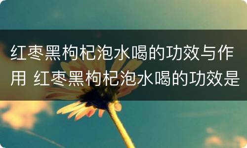 红枣黑枸杞泡水喝的功效与作用 红枣黑枸杞泡水喝的功效是什么