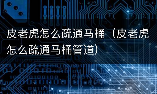 皮老虎怎么疏通马桶（皮老虎怎么疏通马桶管道）