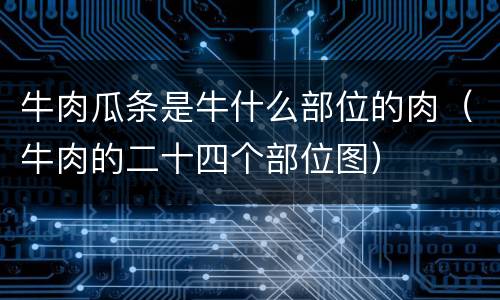 牛肉瓜条是牛什么部位的肉（牛肉的二十四个部位图）