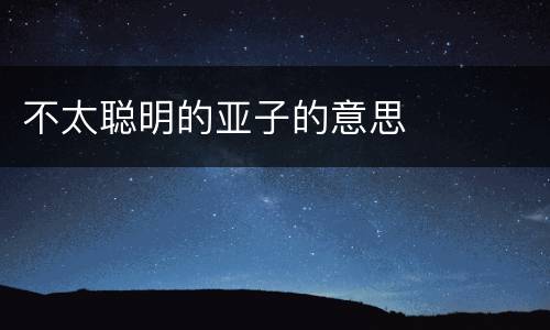 不太聪明的亚子的意思