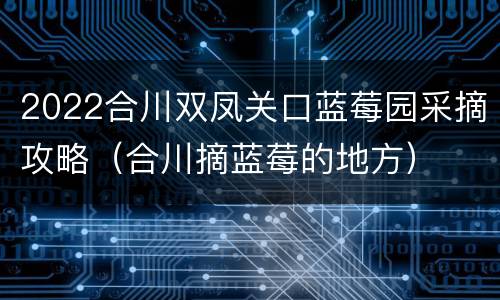 2022合川双凤关口蓝莓园采摘攻略（合川摘蓝莓的地方）