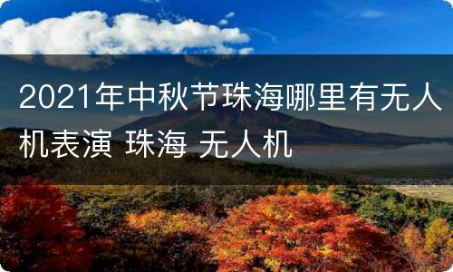 2021年中秋节珠海哪里有无人机表演 珠海 无人机