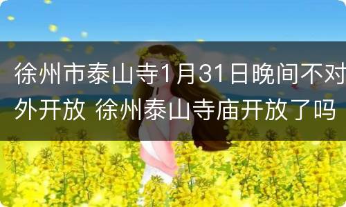 徐州市泰山寺1月31日晚间不对外开放 徐州泰山寺庙开放了吗
