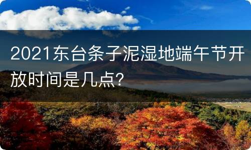 2021东台条子泥湿地端午节开放时间是几点？