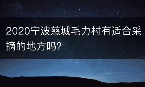 2020宁波慈城毛力村有适合采摘的地方吗？