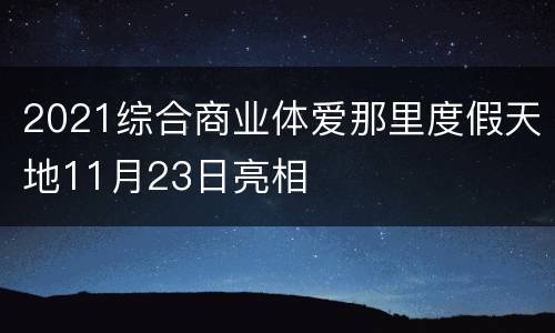 2021综合商业体爱那里度假天地11月23日亮相