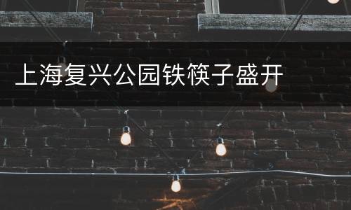 上海复兴公园铁筷子盛开