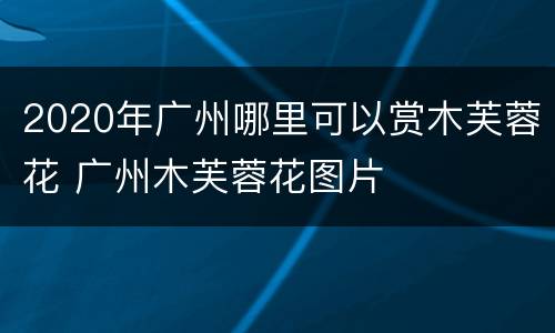 2020年广州哪里可以赏木芙蓉花 广州木芙蓉花图片