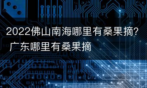 2022佛山南海哪里有桑果摘？ 广东哪里有桑果摘