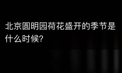 北京圆明园荷花盛开的季节是什么时候？