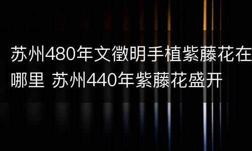 苏州480年文徵明手植紫藤花在哪里 苏州440年紫藤花盛开