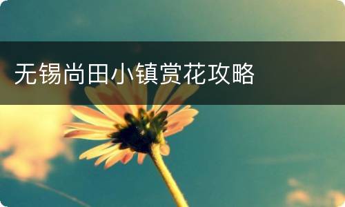 无锡尚田小镇赏花攻略