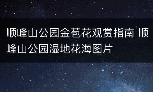 顺峰山公园金苞花观赏指南 顺峰山公园湿地花海图片