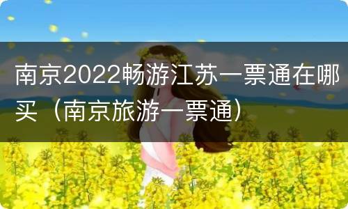 南京2022畅游江苏一票通在哪买（南京旅游一票通）