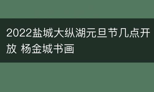 2022盐城大纵湖元旦节几点开放 杨金城书画