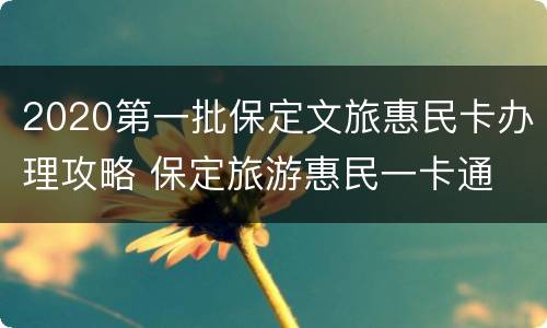 2020第一批保定文旅惠民卡办理攻略 保定旅游惠民一卡通