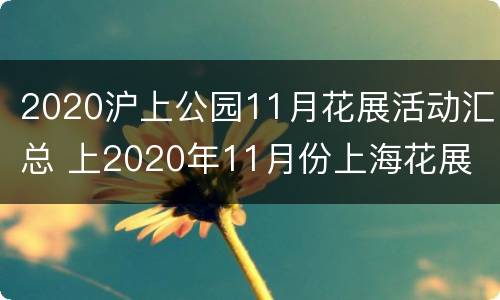 2020沪上公园11月花展活动汇总 上2020年11月份上海花展