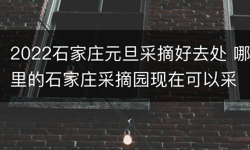 2022石家庄元旦采摘好去处 哪里的石家庄采摘园现在可以采摘