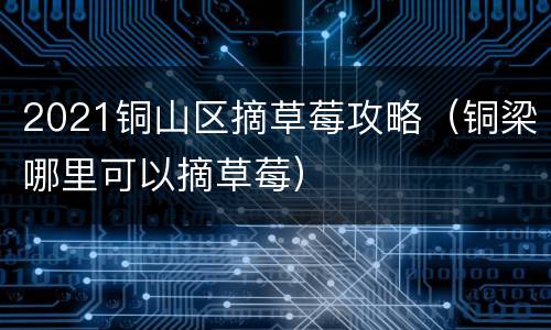 2021铜山区摘草莓攻略（铜梁哪里可以摘草莓）