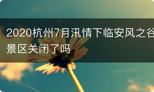 2020杭州7月汛情下临安风之谷景区关闭了吗