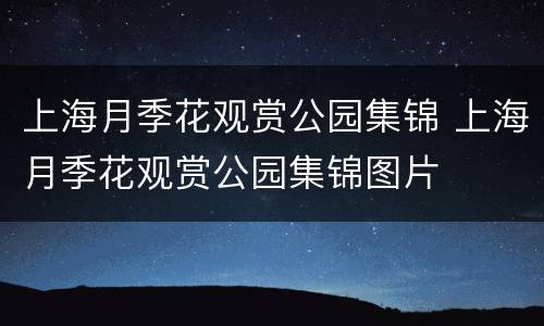 上海月季花观赏公园集锦 上海月季花观赏公园集锦图片