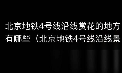 北京地铁4号线沿线赏花的地方有哪些（北京地铁4号线沿线景点）