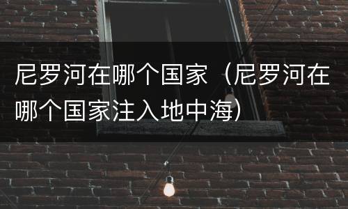 尼罗河在哪个国家（尼罗河在哪个国家注入地中海）