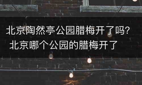 北京陶然亭公园腊梅开了吗？ 北京哪个公园的腊梅开了