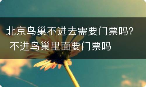 北京鸟巢不进去需要门票吗？ 不进鸟巢里面要门票吗