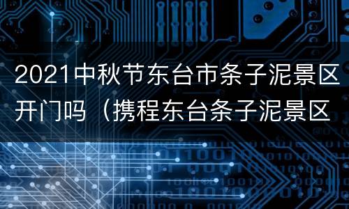 2021中秋节东台市条子泥景区开门吗（携程东台条子泥景区住宿）