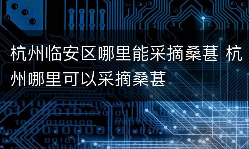 杭州临安区哪里能采摘桑葚 杭州哪里可以采摘桑葚