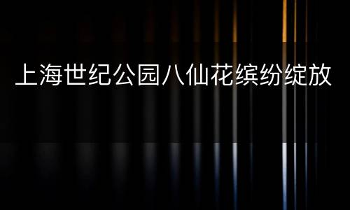 上海世纪公园八仙花缤纷绽放
