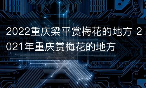 2022重庆梁平赏梅花的地方 2021年重庆赏梅花的地方