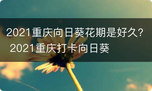 2021重庆向日葵花期是好久？ 2021重庆打卡向日葵