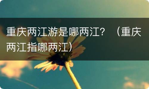 重庆两江游是哪两江？（重庆两江指哪两江）