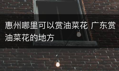 惠州哪里可以赏油菜花 广东赏油菜花的地方