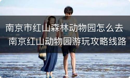 南京市红山森林动物园怎么去 南京红山动物园游玩攻略线路图