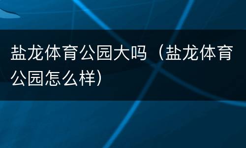 盐龙体育公园大吗（盐龙体育公园怎么样）