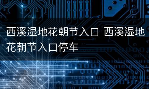 西溪湿地花朝节入口 西溪湿地花朝节入口停车