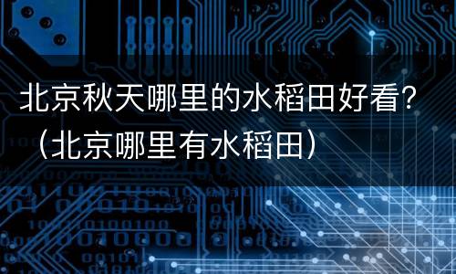 北京秋天哪里的水稻田好看？（北京哪里有水稻田）