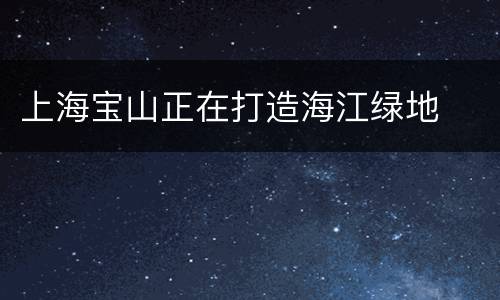 上海宝山正在打造海江绿地